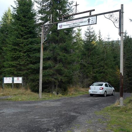 Cabana Cerbul-Oasa-Transalpina Ciban Exterior photo